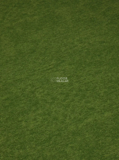 Haima Coral 30 фото 11 | FLOORDEALER